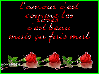l amourrrrrrr